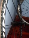 DSC02130.JPG