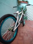 DSC00554.jpg