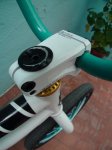 DSC00557.jpg