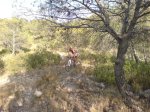 DSC01186.jpg
