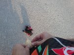 DSC01187.jpg