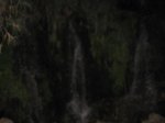 IMG_1286.JPG