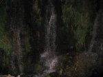 IMG_1287.JPG