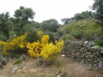 IMG_1172.jpg