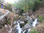 IMG_1186.jpg