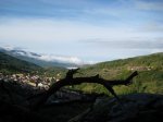 IMG_1191.jpg
