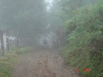 DSC03992.jpg
