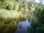 Foto4.JPG