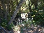 Foto6.JPG