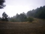 Foto31.JPG
