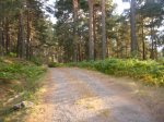 Foto48.JPG