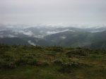 IMGP3363.JPG