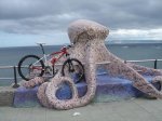 DSC03026.jpg