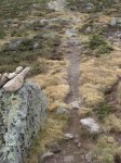 Pico urbion 09 033.jpg