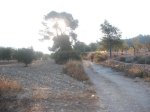 DSCF5051.JPG