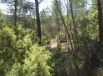 DSCF4745.JPG
