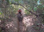 DSC00094.jpg