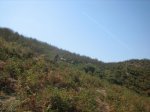 IMG_4235.jpg