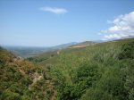 IMG_4238.jpg