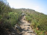IMG_4239.jpg