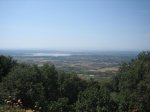 IMG_4240.jpg