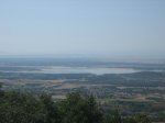 IMG_4242.jpg