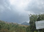 IMG_4244.jpg