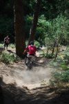 DSC_0153.jpg