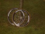 zipp.JPG