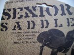 sillÃ­n odyssey (2).jpg