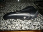 DSC00008.jpg