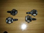 DSC00013.jpg