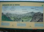 DSC00916.jpg