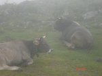 DSC00910.jpg