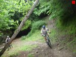 foromtb_image_10ago_03_num.jpg