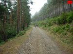 foromtb_image_10ago_10_num.jpg