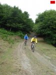 foromtb_image_10ago_15_num.jpg