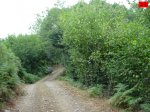 foromtb_image_10ago_21_num.jpg