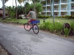 IMGP6934.jpg