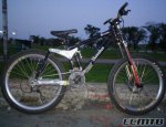 pbpic3843042.jpg