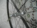PICT0827.jpg