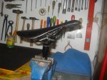 DSC05442.jpg