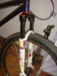 DSC03604.JPG