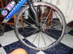 DSC00838.jpg