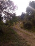 09082009202.jpg