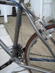 sunn_rear_tri_119.jpg