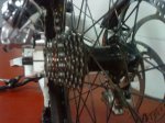 DSC00098.jpg