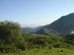 DSC02638.JPG