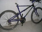 bianchi001.jpg