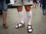DSC06419r.jpg